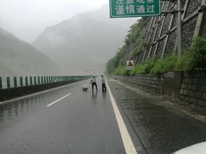 鹽津告急 彝良告急 大關(guān)告急 昭通市遭受強(qiáng)降雨襲擊,暴雨淹城...